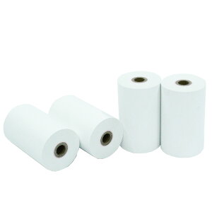 SII ZCR[CXc TP-312C-1 Ήėp MW[ i100pbNj yE ͂sz