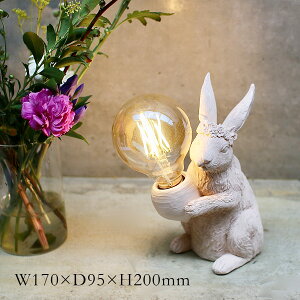 fRAj}CgyETMz | Cg / v /  / Ɩ / dr / R[hX / AeB[N /  / fReBu / CeA / X / Y / SOW / \EyE ͂sz