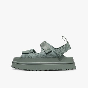 UGG [�A�O �E�B�����Y �S�[���f���O���[ �G���{�X]�@W GOLDENGLOW EMBOSSED�@ARTICHOKE (1175311-ART)