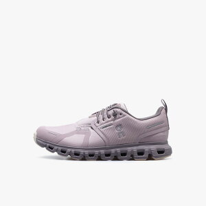 On [�I�� �N���E�h6�E�H�[�^�[�v���[�t�E�B�����Y]�@CLOUD 6 WP W�@MAUVE/ZINC (3WF10053037)
