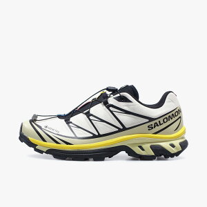 SALOMON [�T������ �G�b�N�X�e�B�[�V�b�N�X �W�[�e�B�[�G�b�N�X �S�A�e�b�N�X]�@XT-6 GTX GORE-TEX�@VANILLA ICE/BOG/SHADOW GREEN (L49215700)