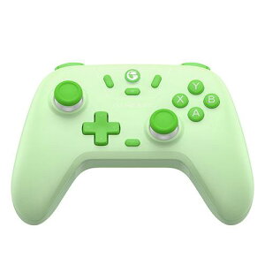GameSir@Q[T[ z[GtFNgZT[ڃRg[[ WindowsPC/Switch/Android/iOSΉ GameSir Nova Lite Mint Greenyzysmtb-uzyAzsz