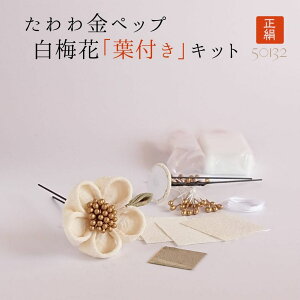 ܂ݍ׍H  ybv킢 ޗ   k ܎O l U OB  Â | ޗ z nhCh X^[^[Lbg [50132 : ybv~ԗt