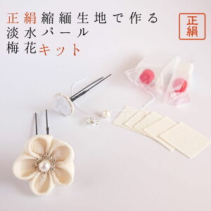 Lbg Wp[  Ԑc ~ VN ܂ݍ׍H   z Lbg ߂  l ܎O   U Ǝ [yLbg Wp[z [ #50130 Wp[~kit ] 