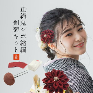 ܂ݍ׍H z Jbgς n ̔  ߂ [s RT[W ܎O l U Ǝ   [ [50155 : ԏaGWSV{_ALbg : kit ]