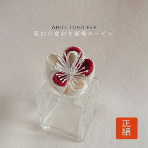 l@ VN ܂ݍ׍H    kɁ@[s Us    l  񂴂  U a@a с@   [PNo: 10804 iFg dς