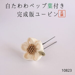  VN ܂ݍ׍H   Us @VNzCg    U a a с@   yzCg l [sz[#10823 {ybvttUs