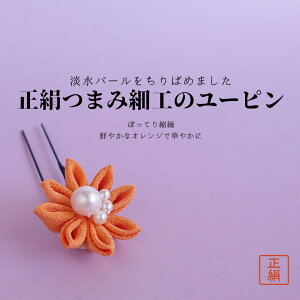  VN ܂ݍ׍H   Us IW    U a a     Ǝ  yIW ܎O l [sz[#10824 Wp[ƃIW