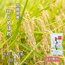 令和7年 宮城県産 ひとめぼれ 白米【送料無料】