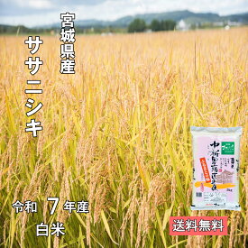 令和7年 宮城県産 ササニシキ 白米【送料無料】