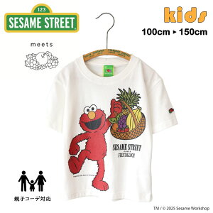 SESAME STREET ZT~Xg[g KIDS vgT F eqR[f FRUIT OF THE LOOM t[cIuU[ R{ G oCIEHbV s[`H Jt {[CY j̎q K[Y ̎q L