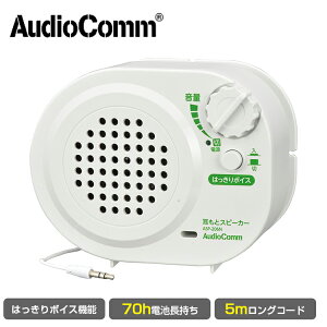 y1Nۏ؁zXs[J[ L erp erXs[J[  茳  ⒮ dr TV erp Xs[J[ ƃXs[J[ 5m L  N ⒮ dr RpNg 