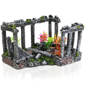  IuWF _a   ANAE I[ig B CeA u 