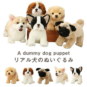  ʂ   A ObY ʃObY G pO uhbO S[fgo[ R[M[ V[Y[   l`  u Mtg v[g a N