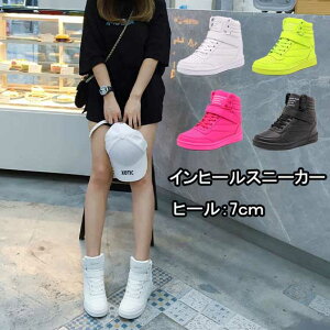 Cq[Xj[J[ 7cm q[ nCJbg Xj[J[ C Xj[J[ Ȃ ₷  {[Xj[J[  킢 p y   t  H ~ 