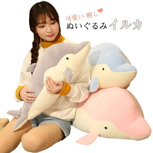 ʂ CJ 傫   _炩  킢 NbV LbY q CeA 蕨 NbV CJʂ NX}X q ޏ ̎q v[