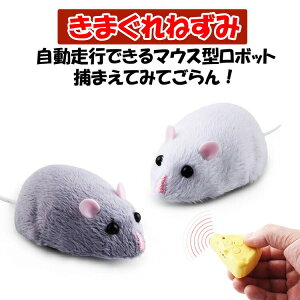 s Lpi lY~ ˂  d lR ˂ L炵 ɂ jR ObY q