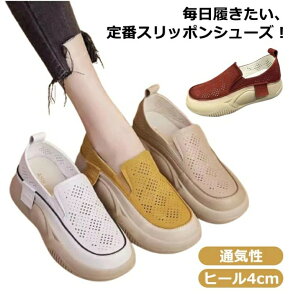 fB[X ʋC   Xb| Xb| O q[4cm C Xj[J[ RtH[gV[Y C Xb| [q[ V[Y  y C y Xj[J[ g