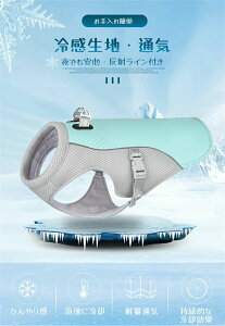 iD ₷ R[g ^ ^ ^   m[X[u xXg Ȃ ^Ngbv AEgEGA v[ xXg ̖h~hbOEGA ˃e[v p WPbg ėp 