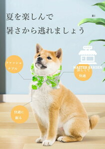 N[lbN ⊴^I Ђ^I  lbNN[[ ppO LppO N[o_i ybgp ΍  p Lp MǑ΍ Ђ ₷ XJ[t 