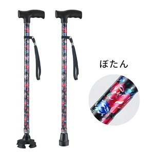 �� �y�� ��� ���� �j�� ���� �L�k�� �������߉\ ������ ������ ���s�⏕���f�B�[�X �w�l�p �܂��ݕs�� ���O�]�|�h�~ �o�����^�C�� �M�t�g �l�C ���̓� ��̓� �h�V�̓� �ăM�t�g ������ 