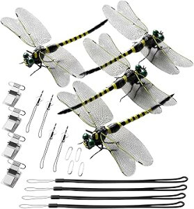 g{N ObY 悯΍ Ƃ ΍ Hg{ ͌^ Sst x QVG \h  I悯 ΍i XYo` AEghA