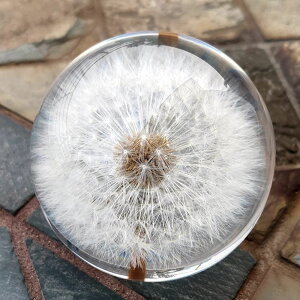 ۂہi^||j u ^||̕W{  CeA IuWF {̃^||W{ ObY LO a o[Xf[Mtg  }`bN   q̑ƃMtg 