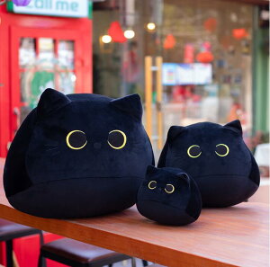 L ʂ  Ђ˂ 40cm  lR u ܂ ӂӂ  傫 낢 蕨 q av[g X