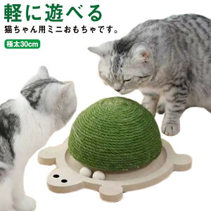 L ܂Ƃ  ꊪ {[^ XgX ^s ɑ30cm ܂Ƃ ؐ T^ bNX gyX W] L Lbg^[ u