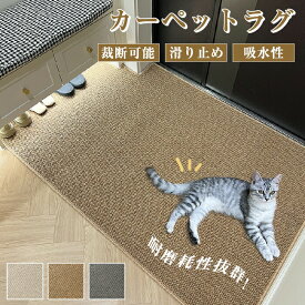 ラグ 夏用 ラグマット カーペットラグ 麻風ラグ おしゃれ カーペット 絨毯 北欧 可愛い オールシーズン 夏 冬 カーペット 床暖房 レトロ 乾きやすい 吸湿性 子供部屋 洗える カーペット リビング 洗面所 長方形 無地 大判 オールシーズン 吸湿 撥水 耐磨耗性 耐久性