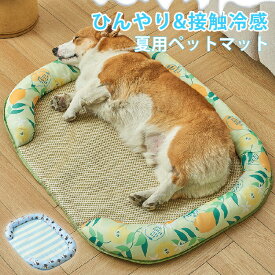 ペットベッド 夏用 猫 ベッド 犬ベッド ひんやりマット クッション 夏 冷感 冷却マット 手洗い 柔らかい ひんやり ペット用品 夏用 マット 猫用 小型犬 中型犬 ペットベッド クッション 猫ベッド 犬 耐噛み 暑さ対策 涼感 柔らかい