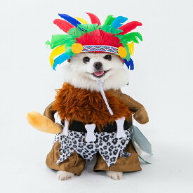 ハロウィン コスプレ衣装 ペット服 犬 王様 インディアン 二足歩行 2点セット ペット ペット ウィッグ 変身 猫用 帽子 犬用帽子 ペット 犬 コスプレ 犬 コスチューム 犬用 道具 ペット服 変装グッズ おもしろい ウィッグ キャップ 小型犬 中型犬 コスプレ クリスマス