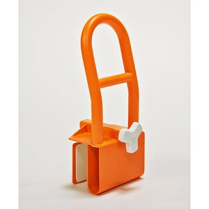 p肷 IW K13019-1  肷 肷 肷   pi C ڏ  ׂɂ Obv p萠 肷 C  T|[g ~ t