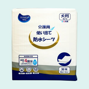 i120jTSUBASA p@ĝĖhV[c 30 x 4pbN