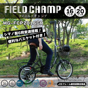 ~S tB[h`v ܂肽ݎ] XO[ V}m 6iϑMA JSt LEDCg ALA MG-FCP2016GR y[J[z