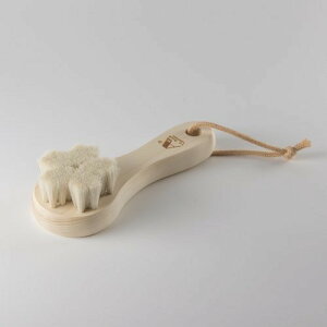 A[guV Rrт̐uVuv VR oXpi C € Ki