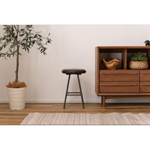 J Xc[ ֎q CX   X`[ y ی^ ۈ֎q ~` Eh AeB[N `FA _ uE {fbhU[ W29×D29×H45 PC-16BR