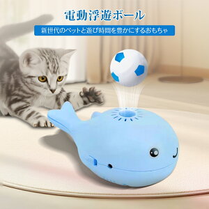 NW^{[ VL dŔLy܂ t@ u[ ㏸ XgX ybgpi m\Iɑ̗͂Ղ镂V{[