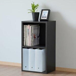 ] �I �{�I �J���[�{�b�N�X A4�t�@�C���Ή� 2�i ��40���s29����73.5cm ���u�� �Ϗd�ˉ\ ���[ �g���i �_�[�N�u���E��