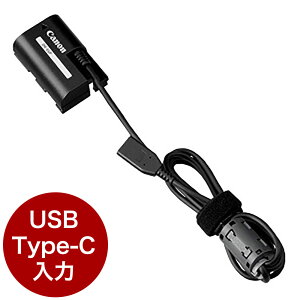 �L���m�� DC�J�v���[ DR-E6P [�ʔ����AC�A�_�v�^�ƈꏏ�Ɏg�p]