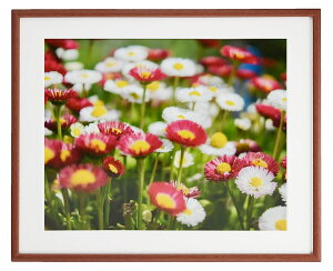 tWJ[ ؐz M21 uEF ؃TCY@[02P05Nov16]