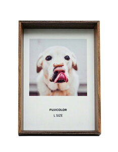 �t�W�J���[ ���[���t���[��L�T�C�Y�^2L�T�C�Y [L��WH/NT 4701L�^L��NT/BR 4702L�^2L��WT/NT 4801K�^2L��NT/BR 4802K] ROOM FRAME �ؐ��z�� [02P05Nov16]