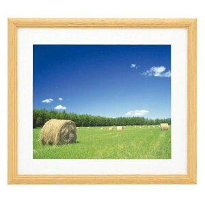 FUJICOLOR ؐz YM-3 A3mr ؒn Oʔ-KXʐ^z