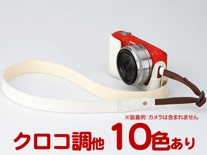 楽天市場】[ビニル袋入り開封品アウトレット]ハクバ ピクスギア 本革 