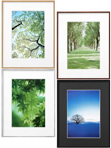 nNo ZEROt[ A4TCY yʊz@yĊSẑȂVJbgCh}bg + אg̎ʐ^z[02P05Nov16]