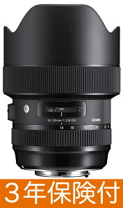 Sigma 14-24mm F2.8 DG HSM | Art tTCY჌tΉLpY[Y[02P05Nov16]