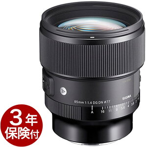 SIGMA 85mmF1.4 DG DN | Art tTCYZT[~[XΉVO}Pœ_]Y \j[E}Eg^CJ/pi\jbNL}Eg[02P05Nov16]
