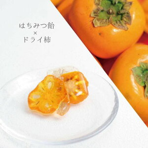 yő1000~N[|IԌzɓ̎t[c hC`