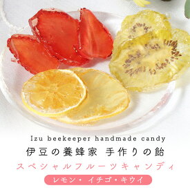 【最大750円OFFクーポン！4/15】伊豆の手作りフルーツ飴 はちみつ 飴 スペシャルフルーツ キャンディー 国産 無添加 イチゴ・キウイ・レモン かわいい ギフト プレゼント ドライフルーツ ハチミツ飴 伊豆産
