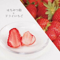 【最大1000円OFFクーポン！期間限定】伊豆の手作り フルーツ飴 はちみつ 飴 国産 無添加 ドライイチゴ飴 …